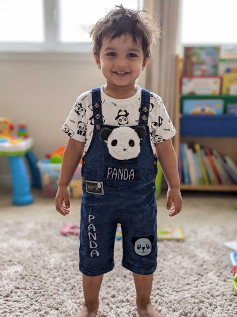 The Premium Romper Panda Adventure